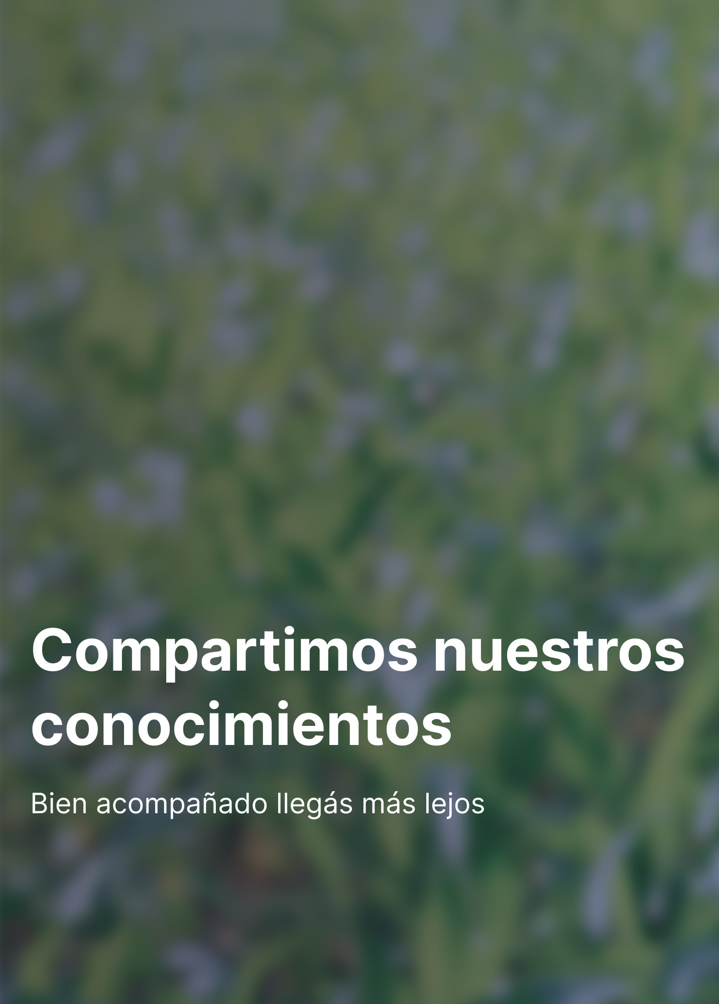 Blog