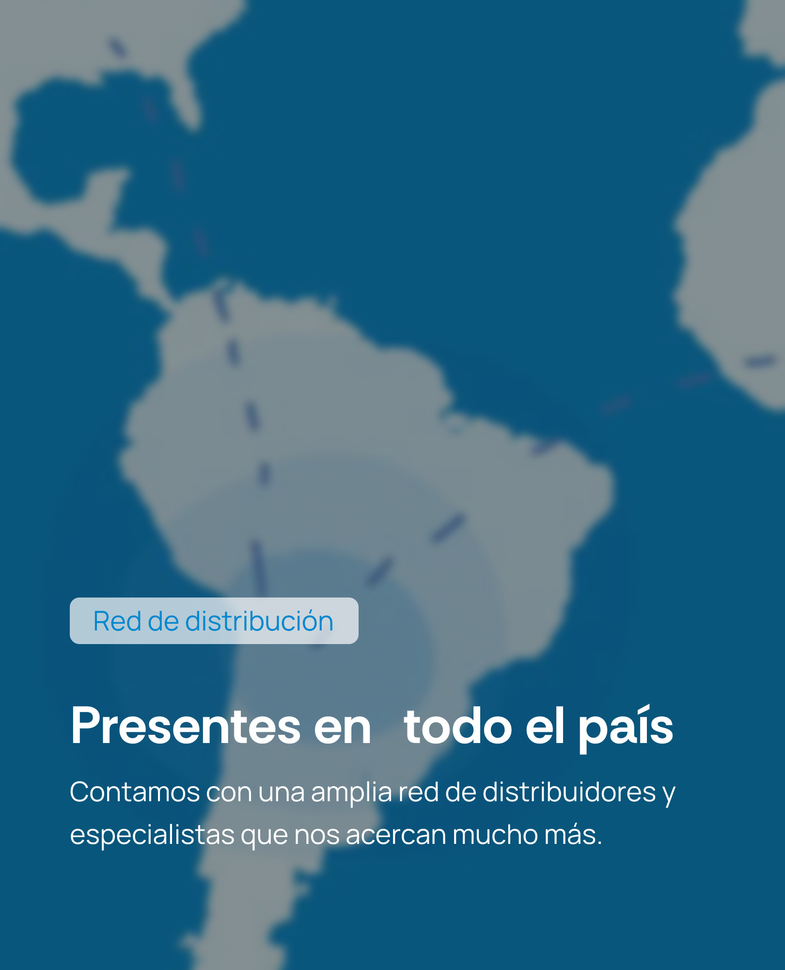 Red de representantes