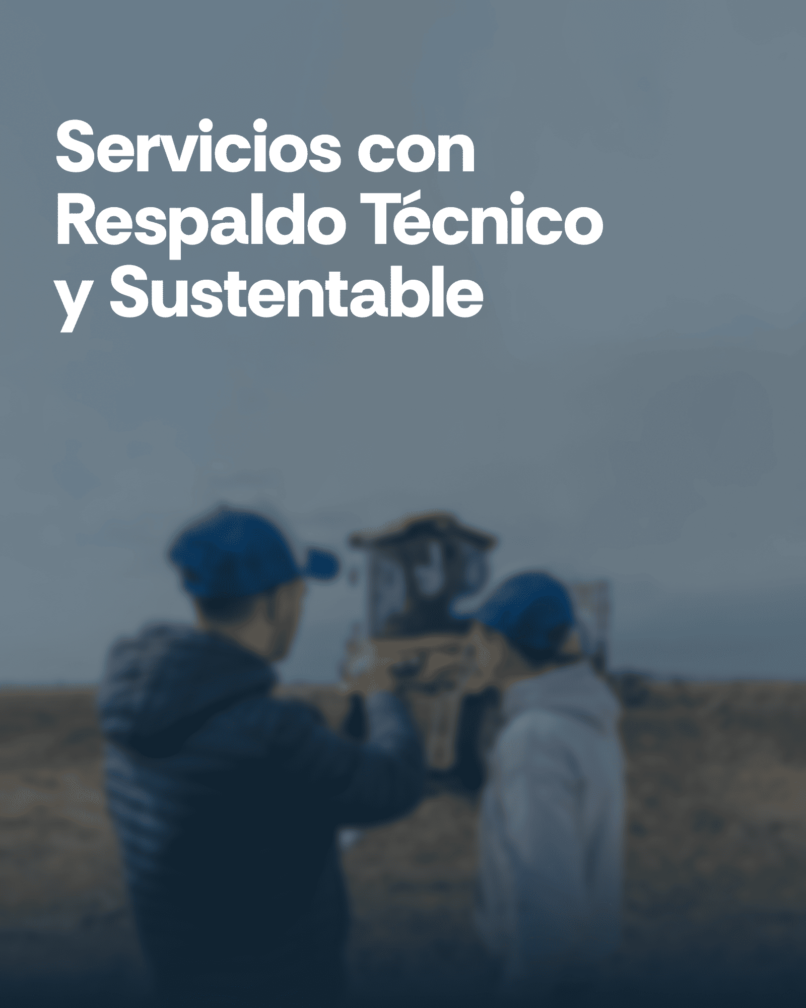 Servicios
